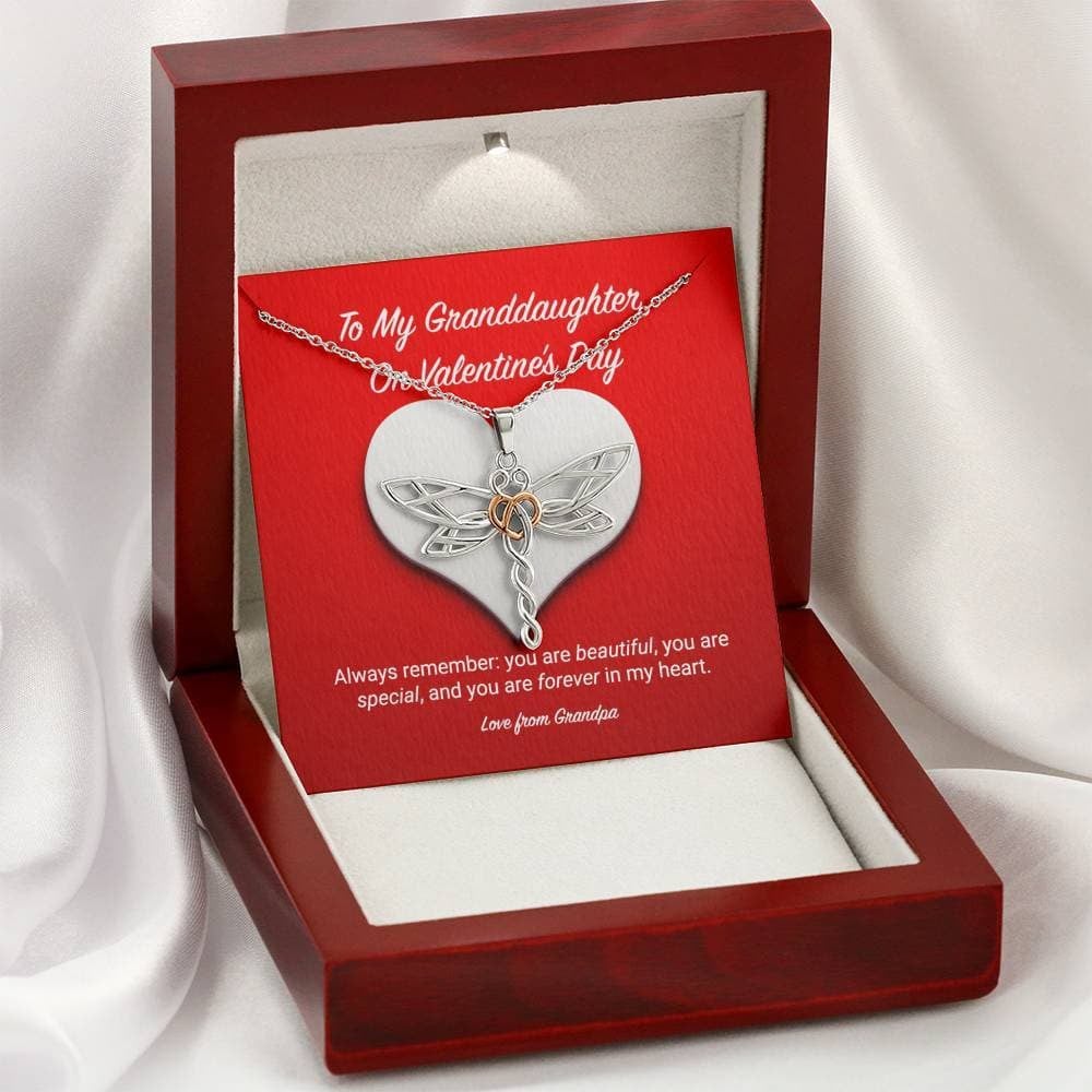 To My Granddaughter from Grandpa Valentine’s Day Dragonfly Necklace
