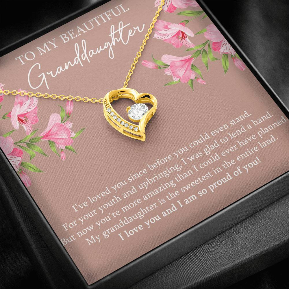 To My Granddaughter Gifts, I’ve Loved You Since Before, Forever Love Heart Necklace For Women, Birthday Present Idea From Grandma Grandpa