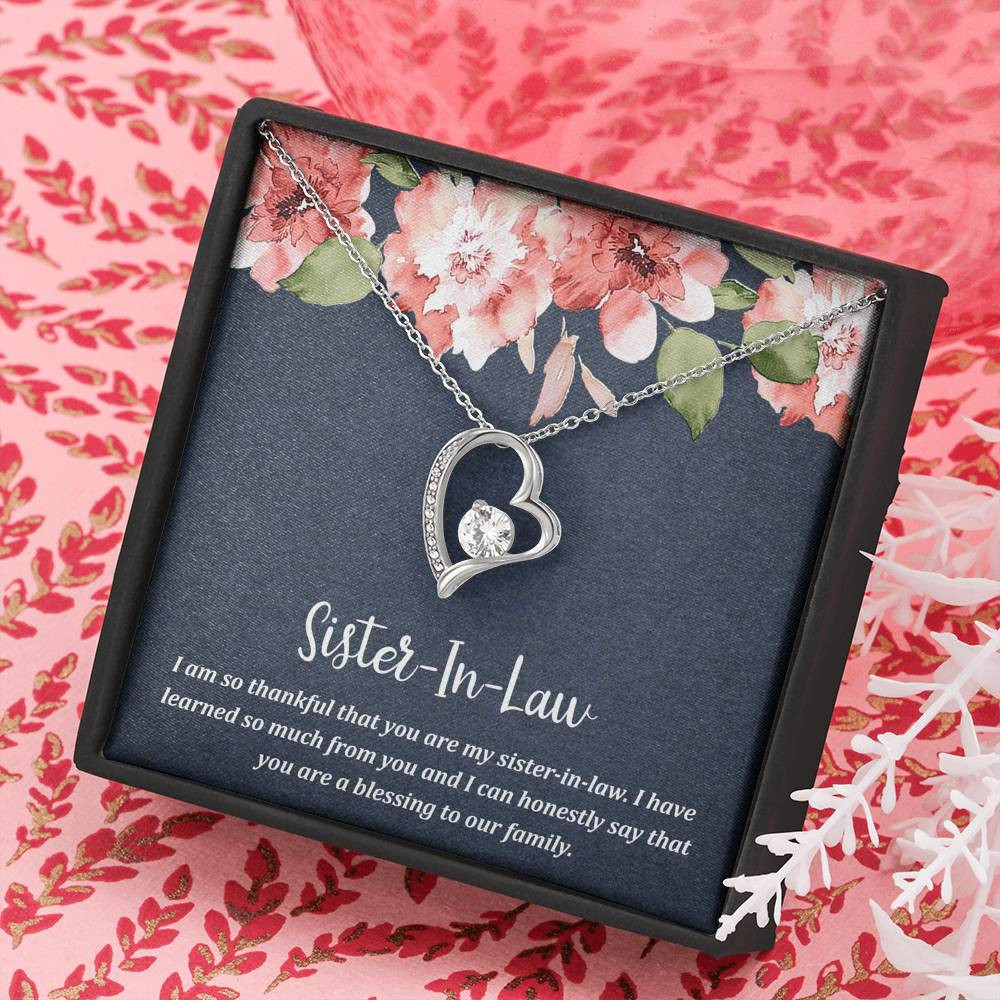 To My Sister-in-law Gifts, I Have Learned So Much from You, Forever Love Heart Necklace For Women, Birthday Present Idea From Sister