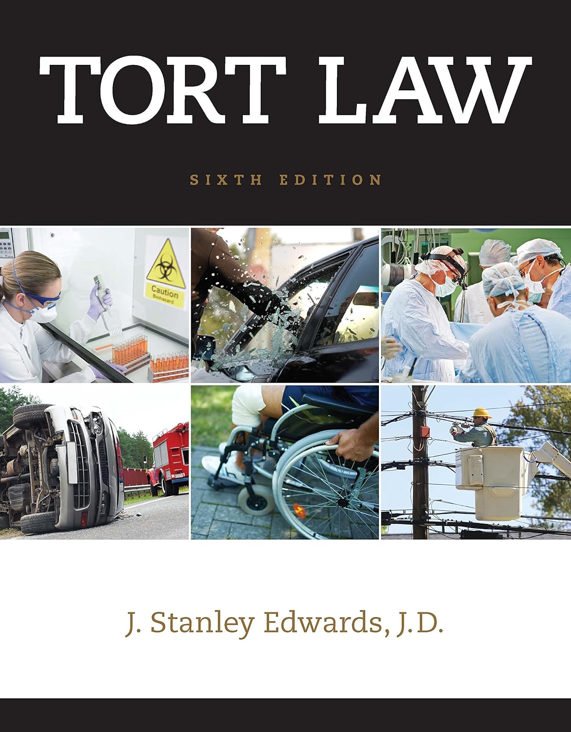 Tort Law (PDF/EPUB Version)