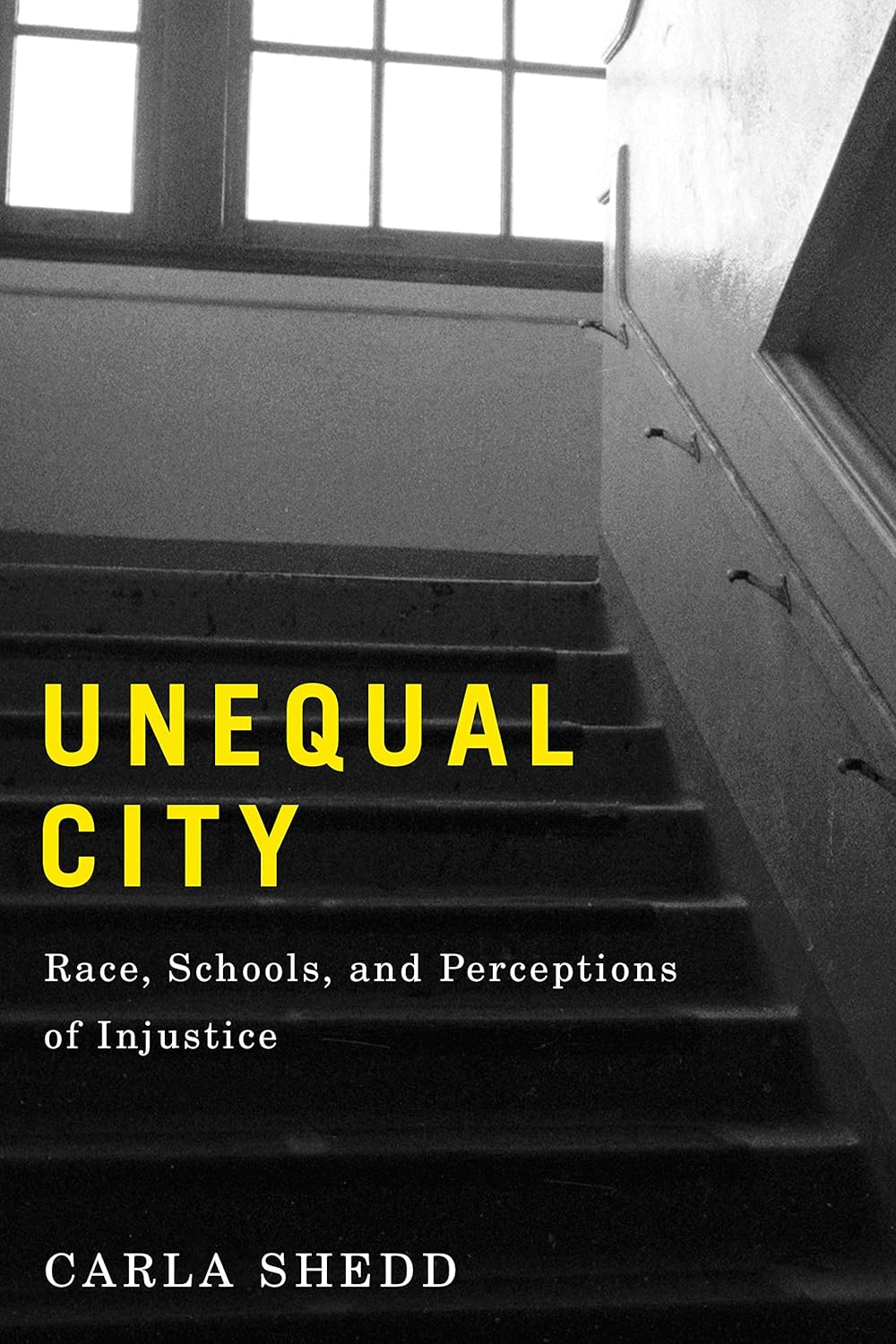 Unequal City: Race, Schools, and Perceptions of Injustice (PDF/EPUB Version)