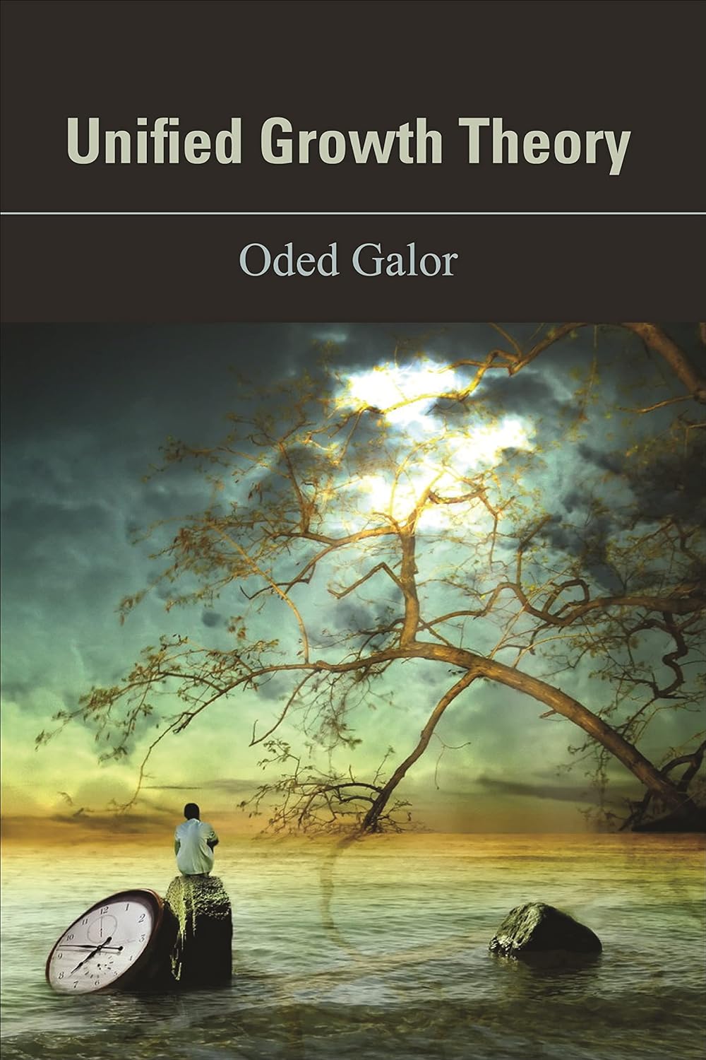 Unified Growth Theory (PDF/EPUB Version)