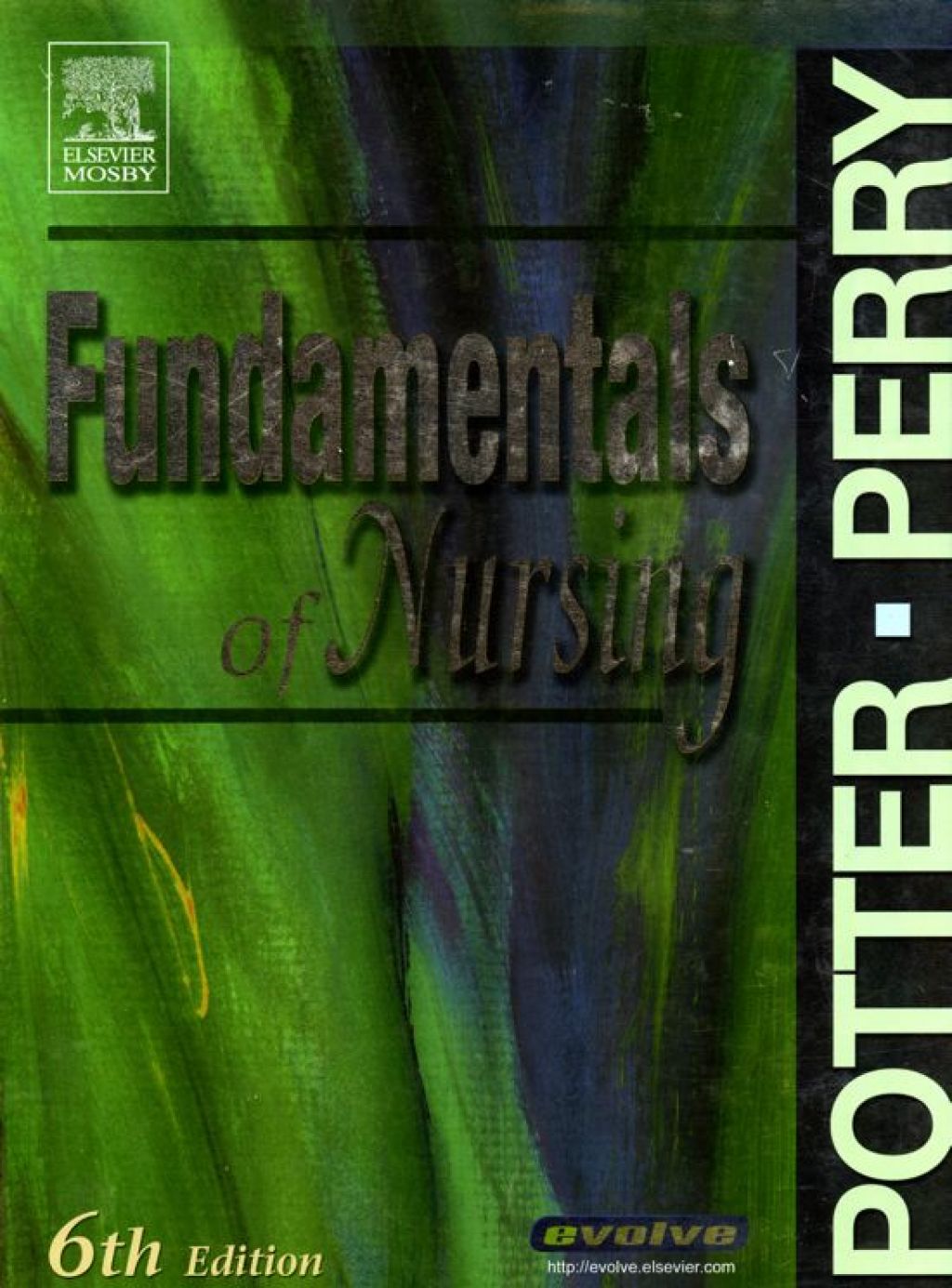 Fundamentals of Nursing 6th Edition