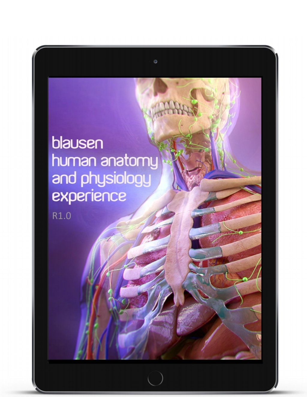 The Complete Blausen Human Anatomy & Physiology Experience 1st Edition