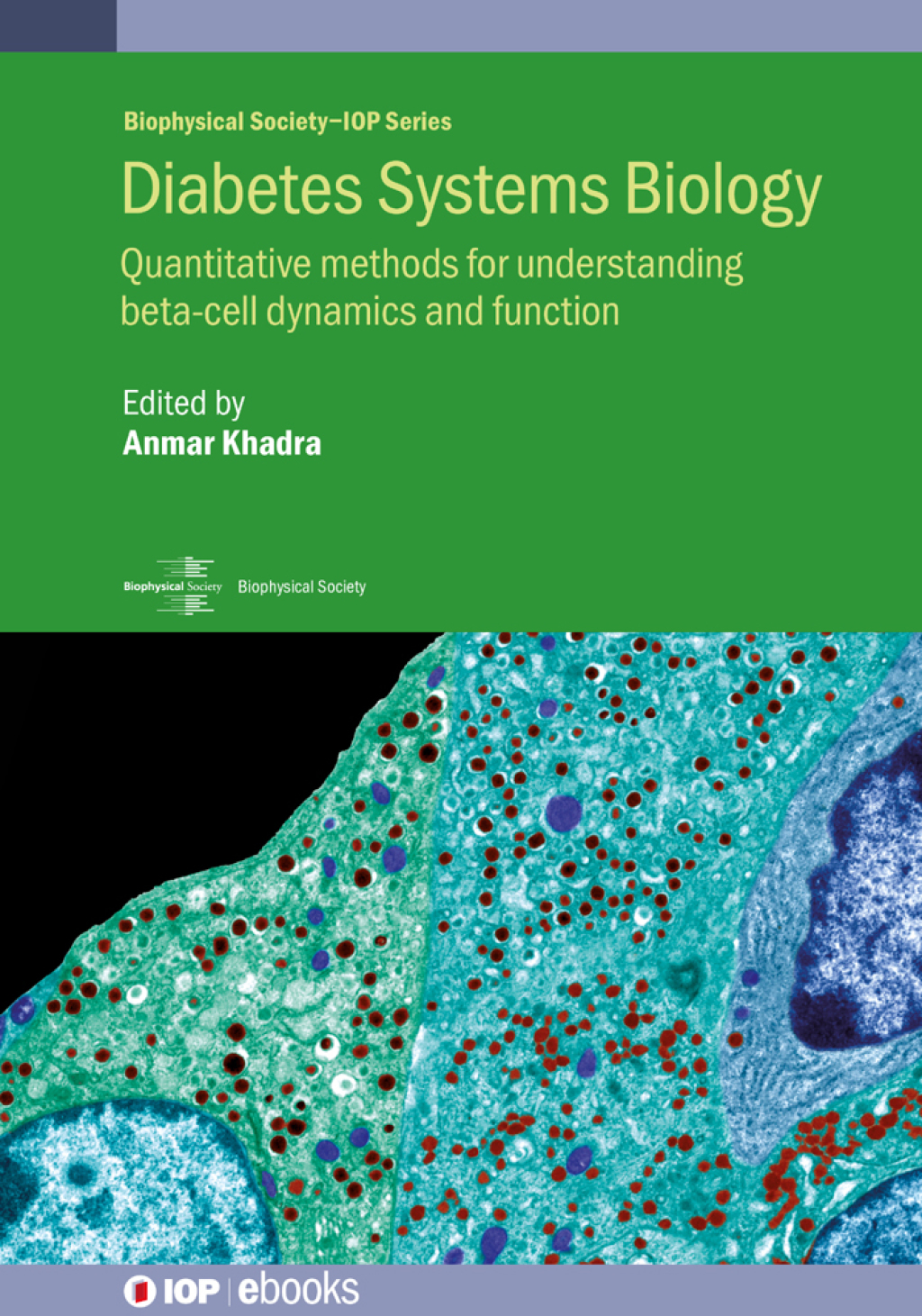 Diabetes Systems Biology Quantitative methods for understanding beta-cell dynamics and function 1st Edition