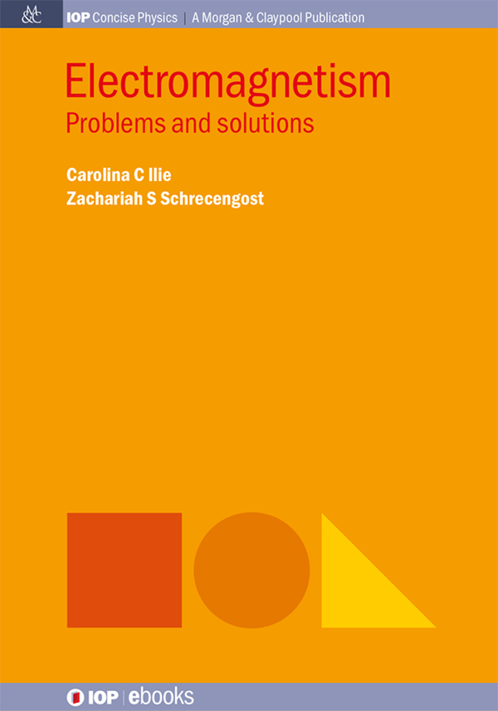 Electromagnetism Problems and solutions 1st Edition