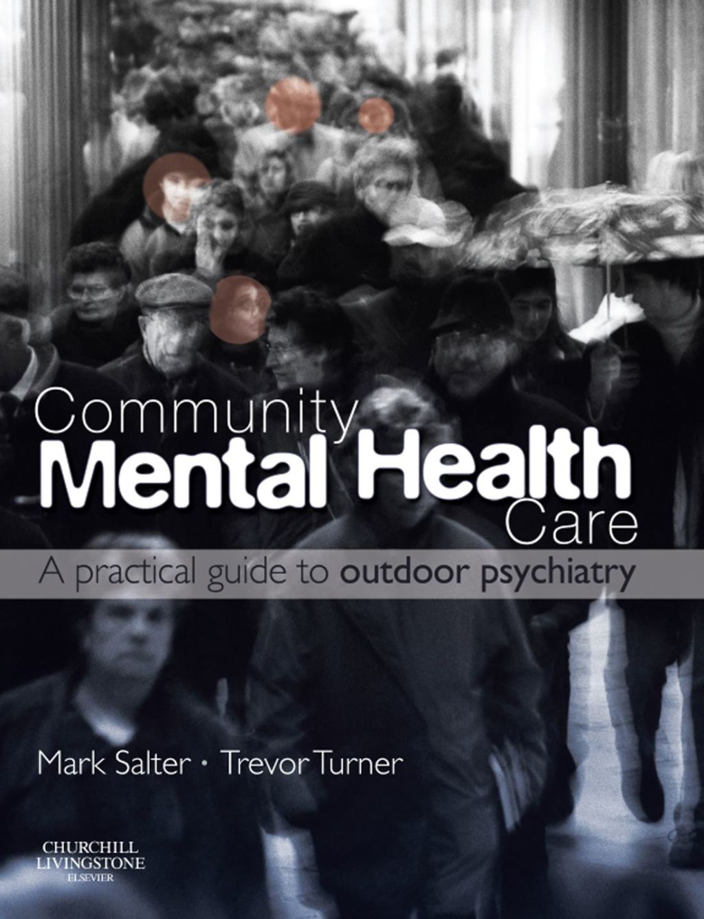 Community Mental Health Care 1st Edition