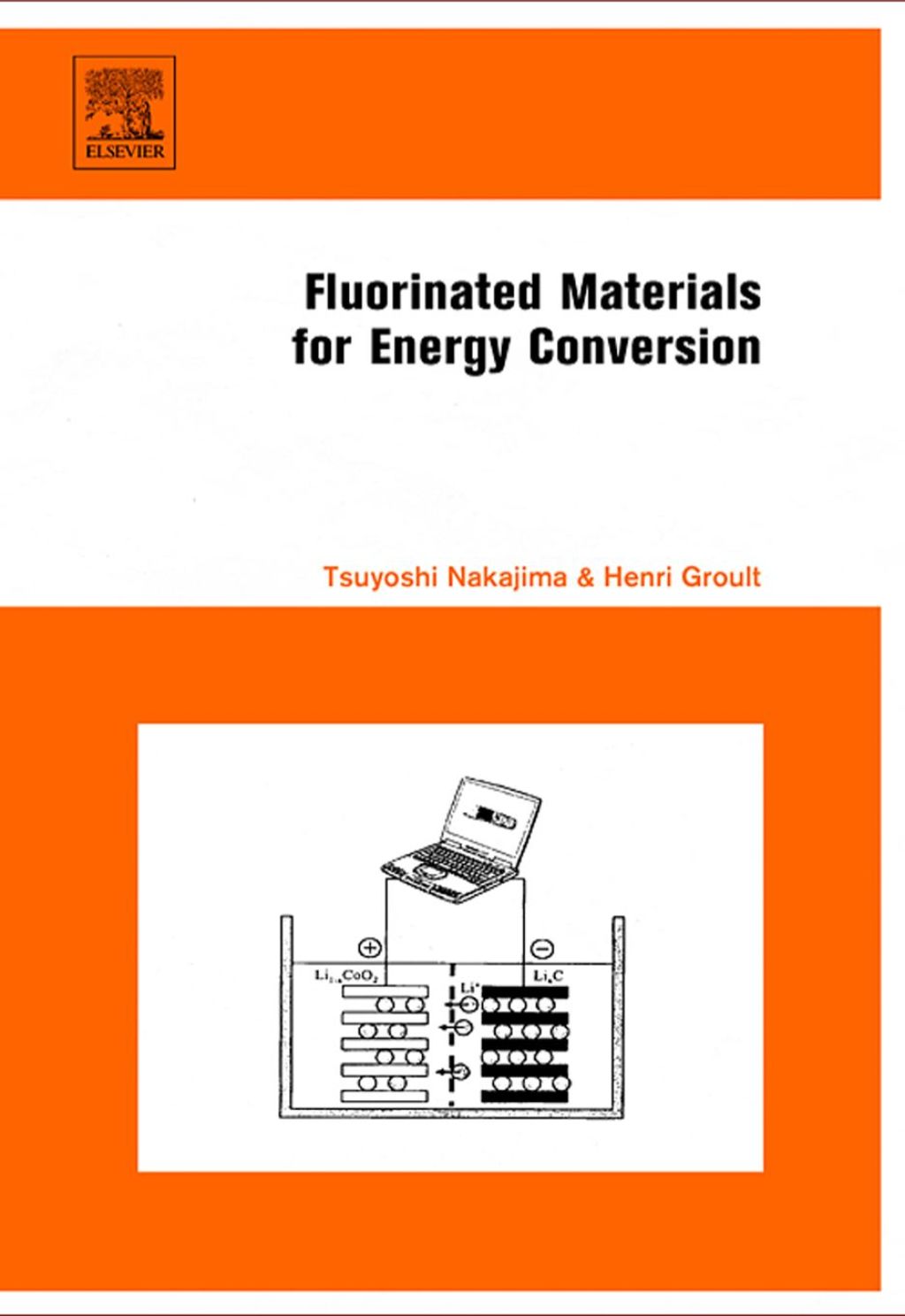 Fluorinated Materials for Energy Conversion 