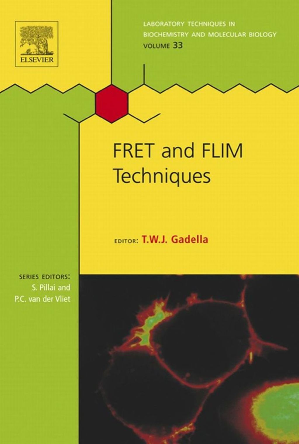 FRET and FLIM Techniques 