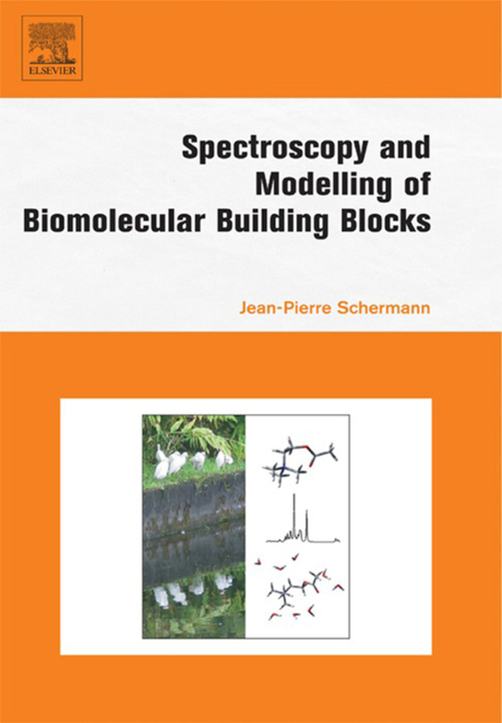 Spectroscopy and Modeling of Biomolecular Building Blocks 