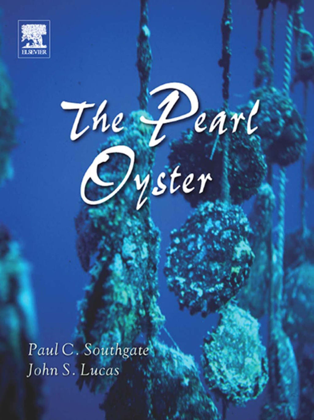 The Pearl Oyster 