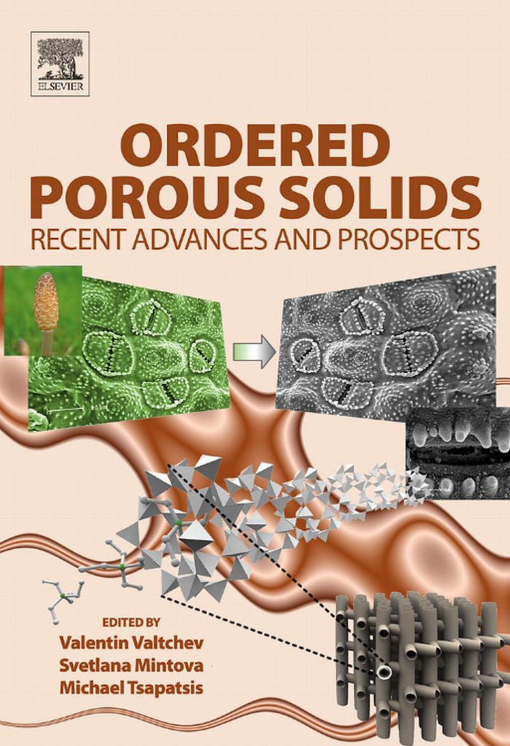 Ordered Porous Solids 