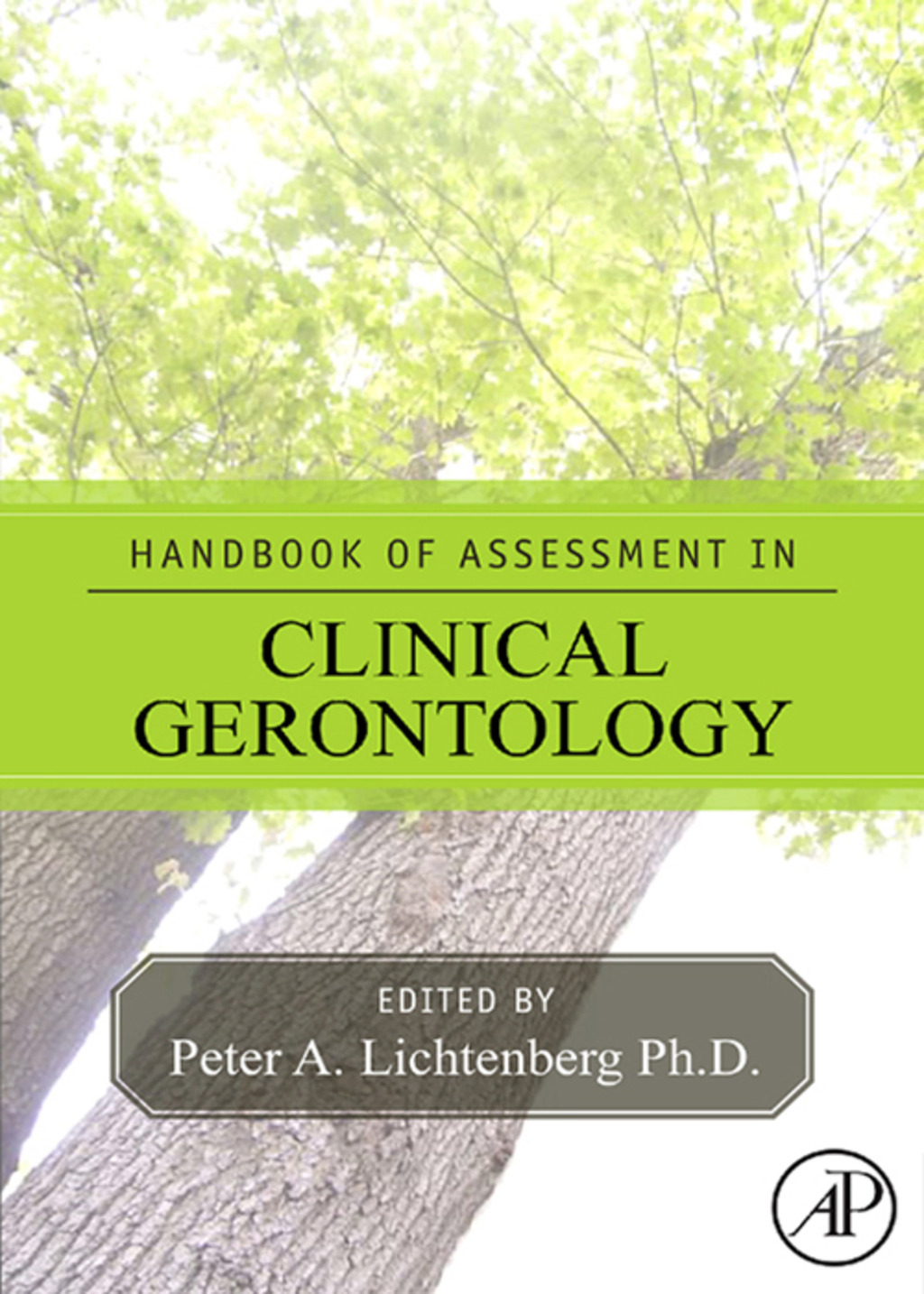 Handbook of Assessment in Clinical Gerontology 2nd Edition