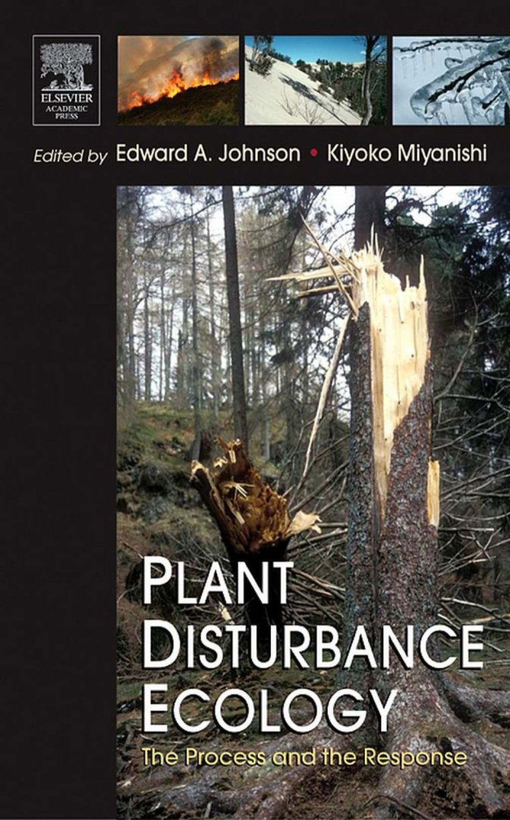 Plant Disturbance Ecology: The Process and the Response 