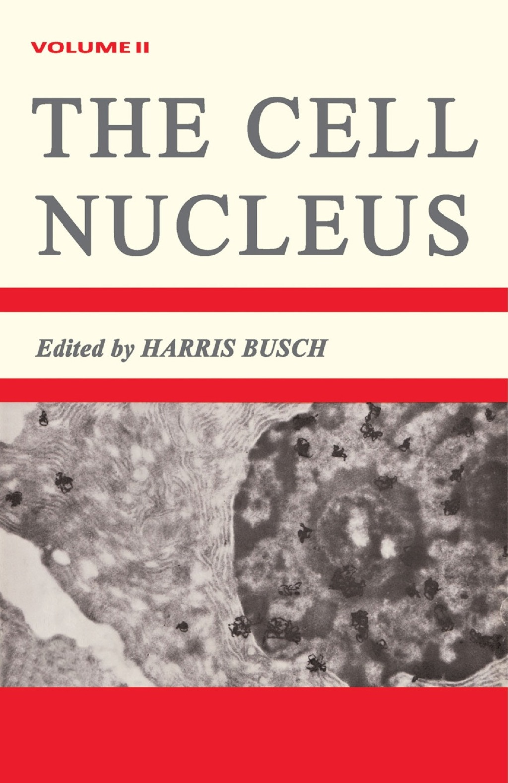 The Cell Nucleus V2 