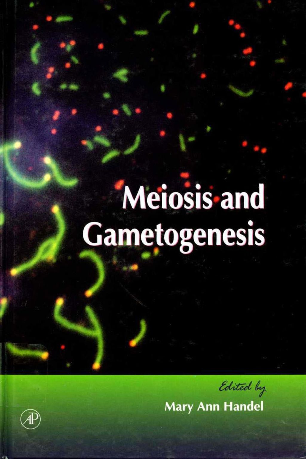 Meiosis and Gametogenesis 