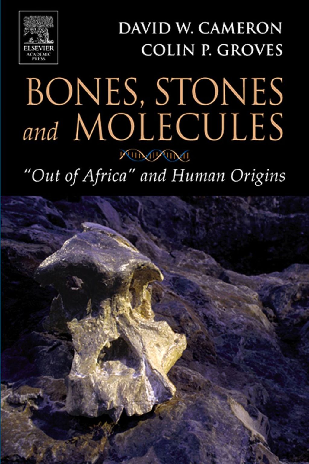 Bones, Stones and Molecules: "Out of Africa" and Human Origins 