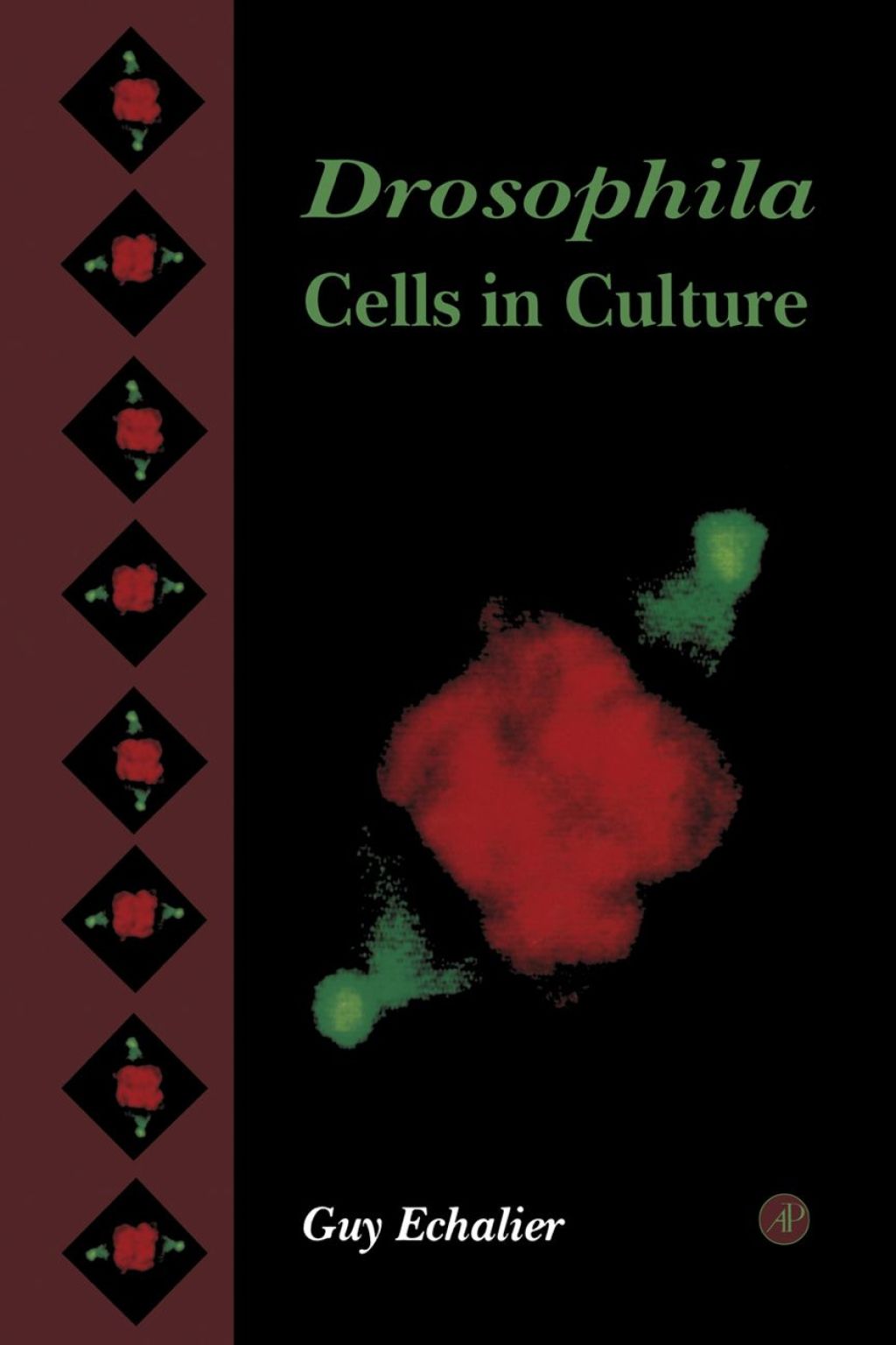 Drosophila Cells in Culture 