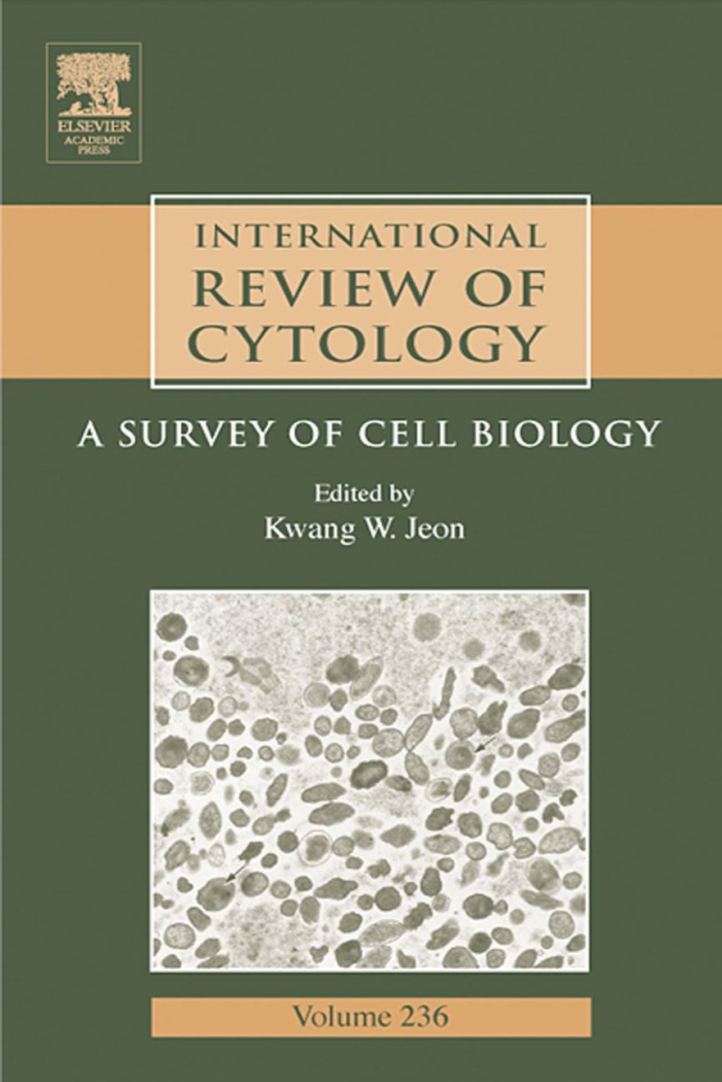 International Review Of Cytology: A Survey of Cell Biology 