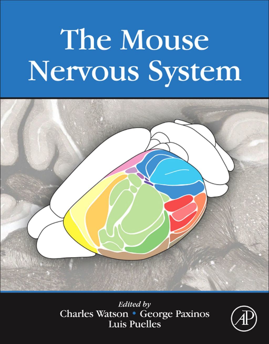 The Mouse Nervous System 