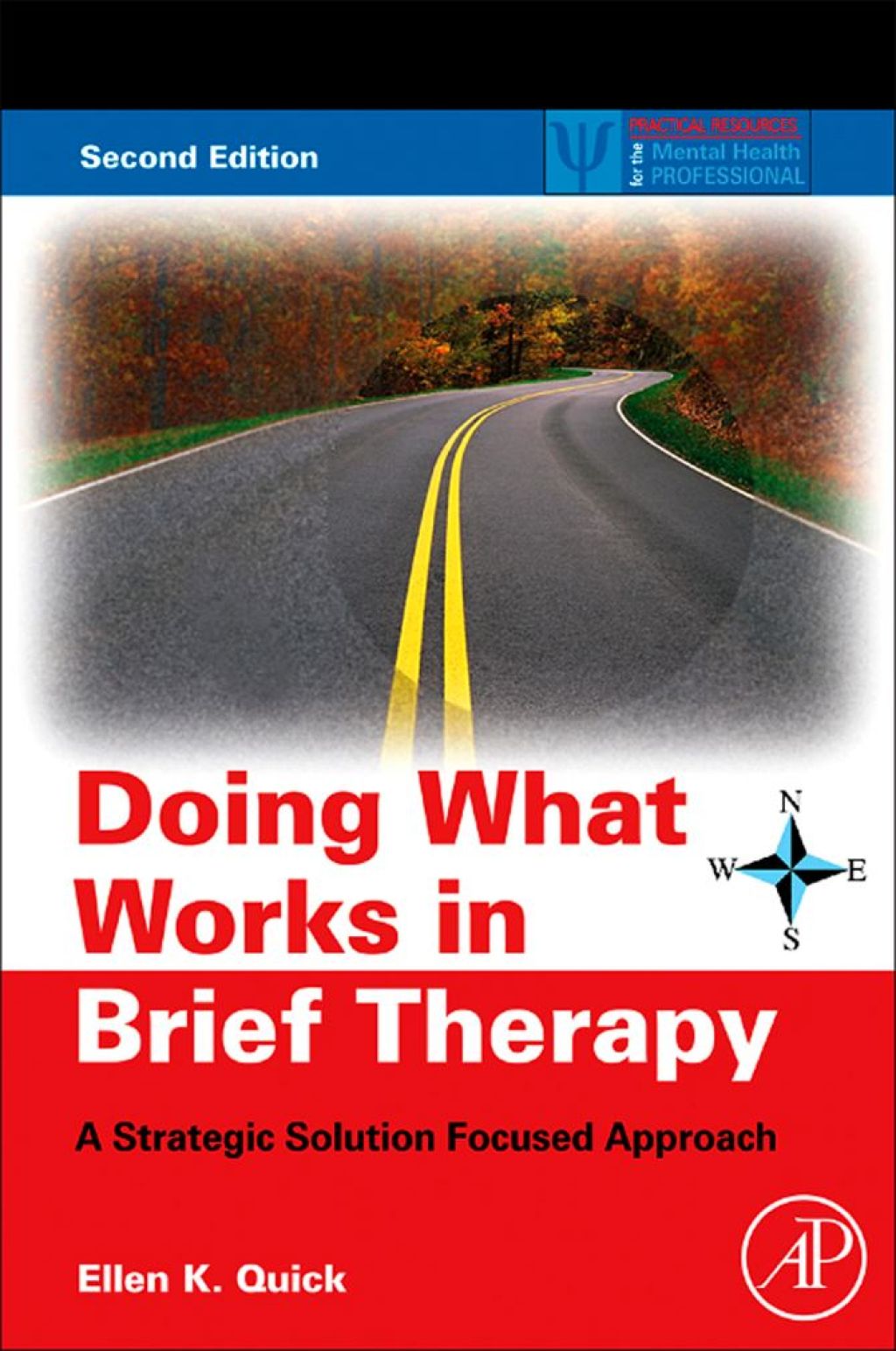 Doing What Works in Brief Therapy: A Strategic Solution Focused Approach 2nd Edition