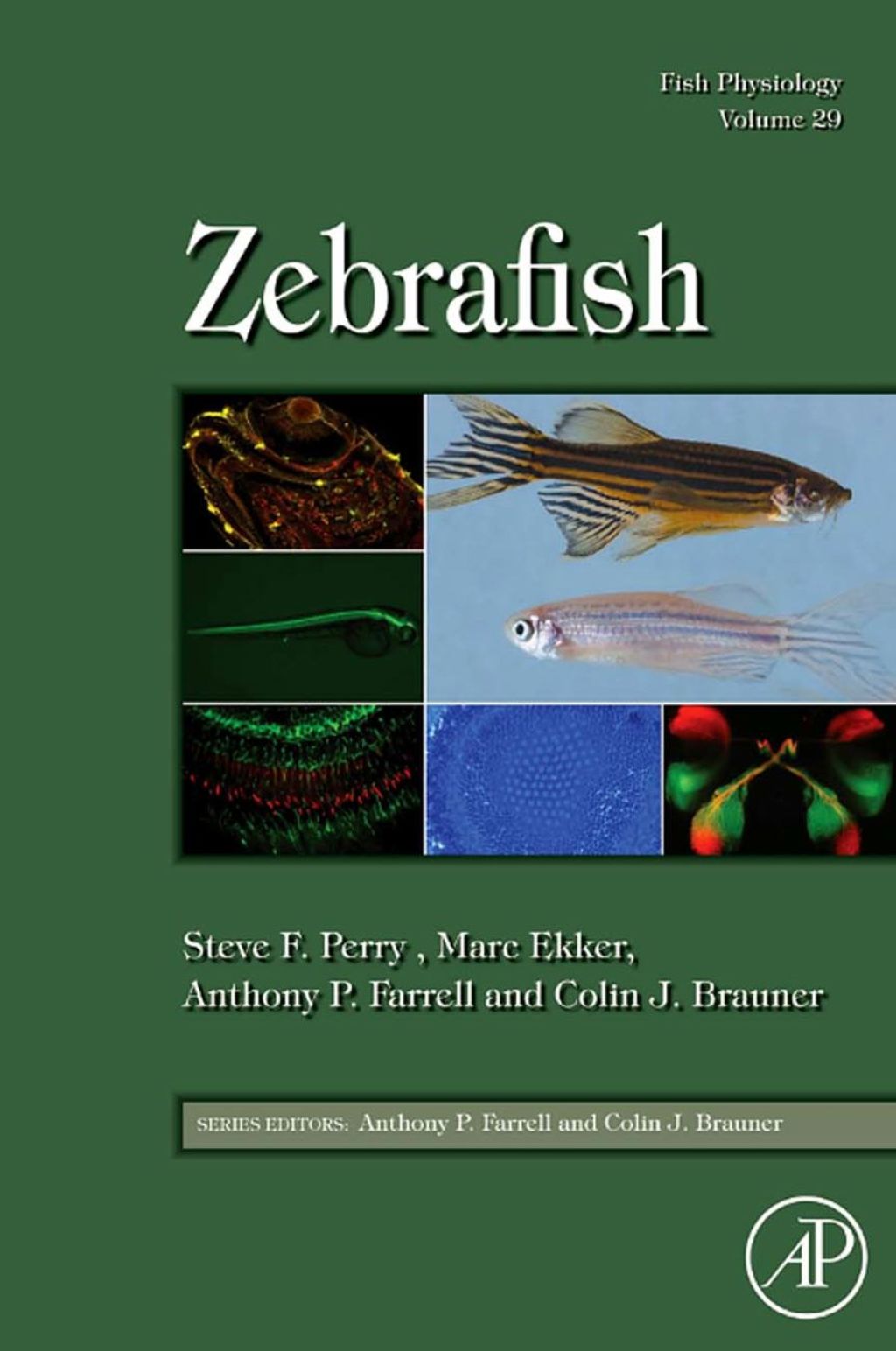 Fish Physiology: Zebrafish: Zebrafish 