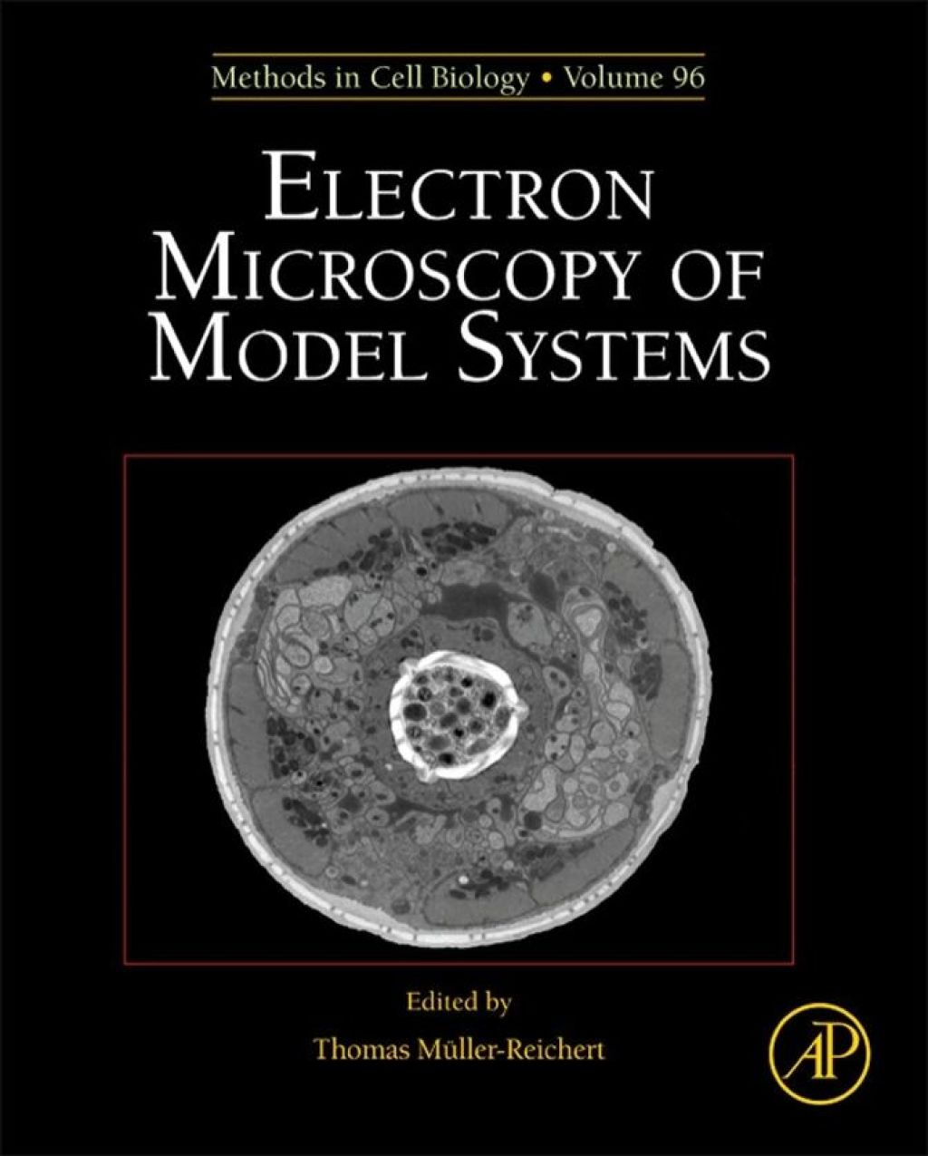 Electron Microscopy of Model Systems 
