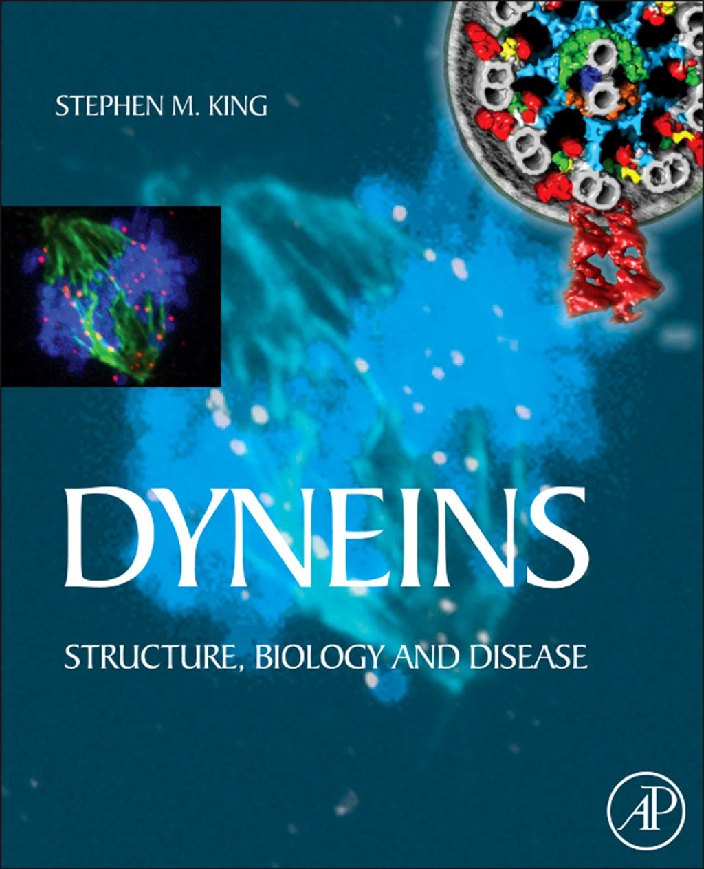 Dyneins: Structure, Biology and Disease 