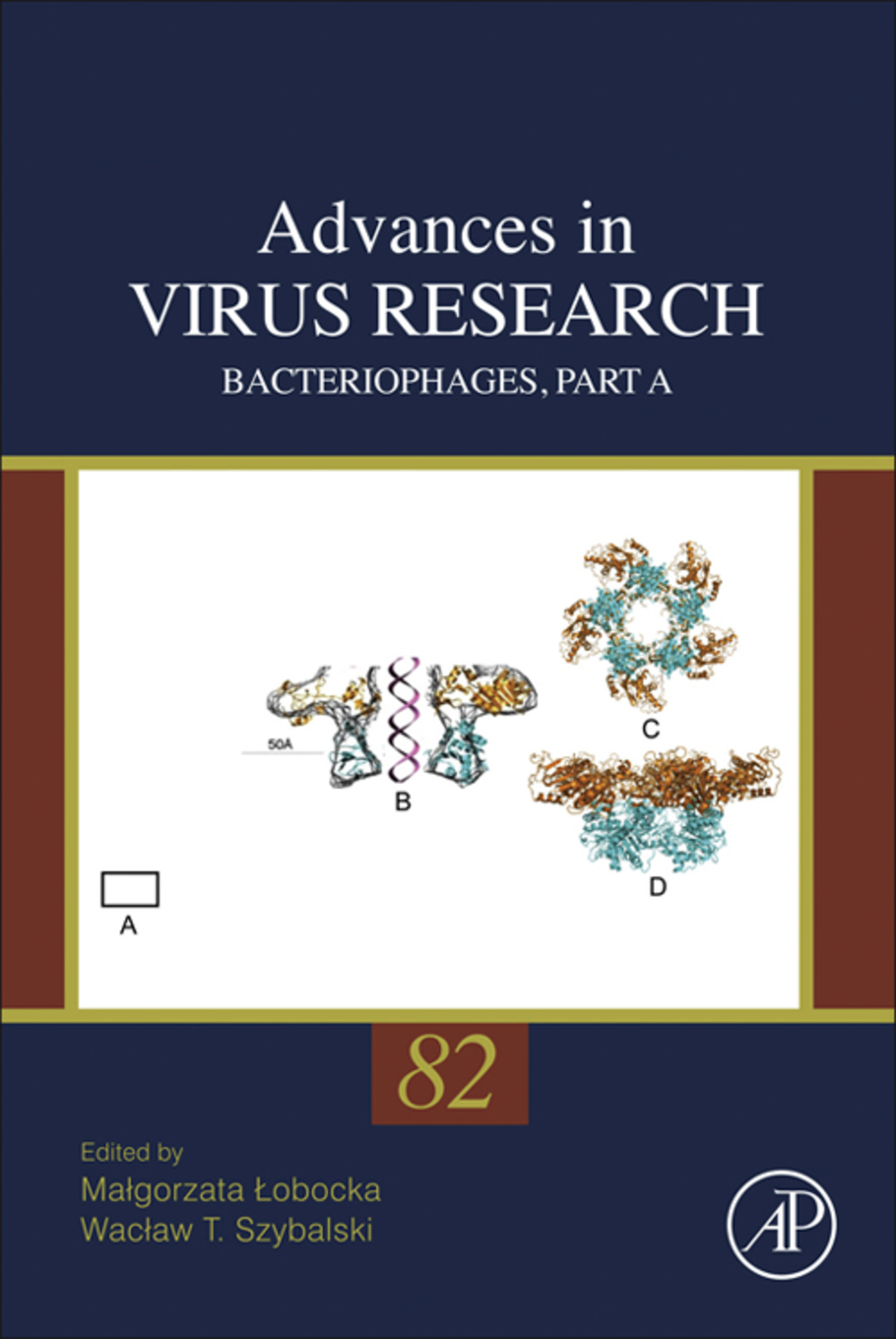 Bacteriophages, Part A 