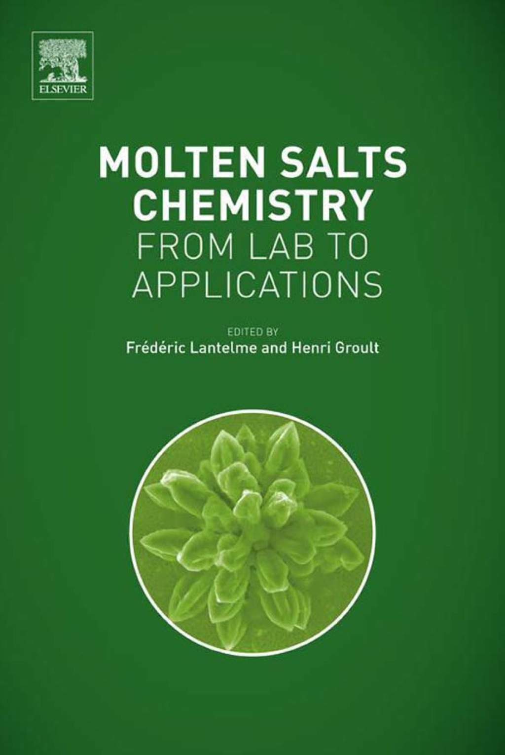 Molten Salts Chemistry: From Lab to Applications 