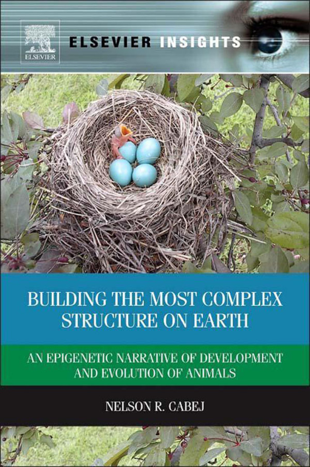 Building the Most Complex Structure on Earth: An Epigenetic Narrative of Development and Evolution of Animals 