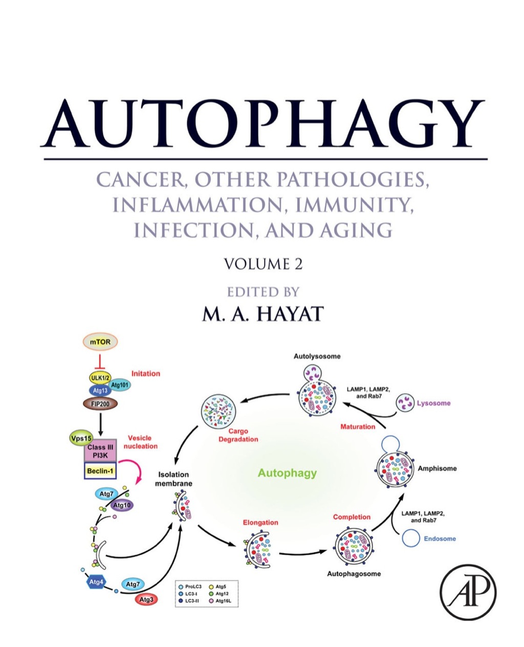 Autophagy: Cancer, Other Pathologies, Inflammation, Immunity, Infection, and Aging: Volume 2 - Role in General Diseases 