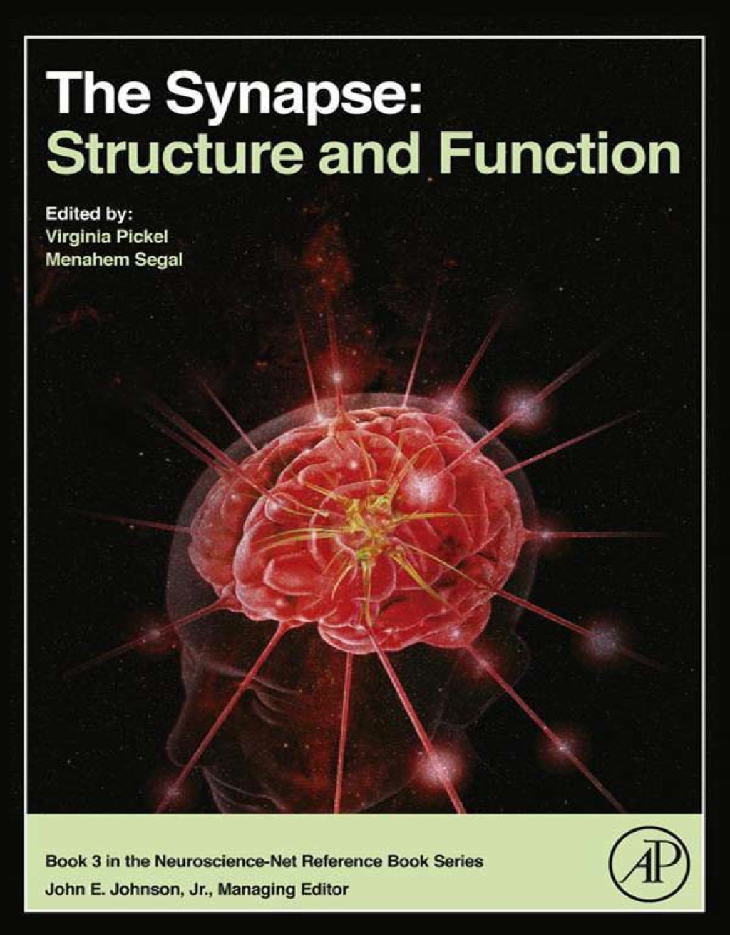 The Synapse: Structure and Function 