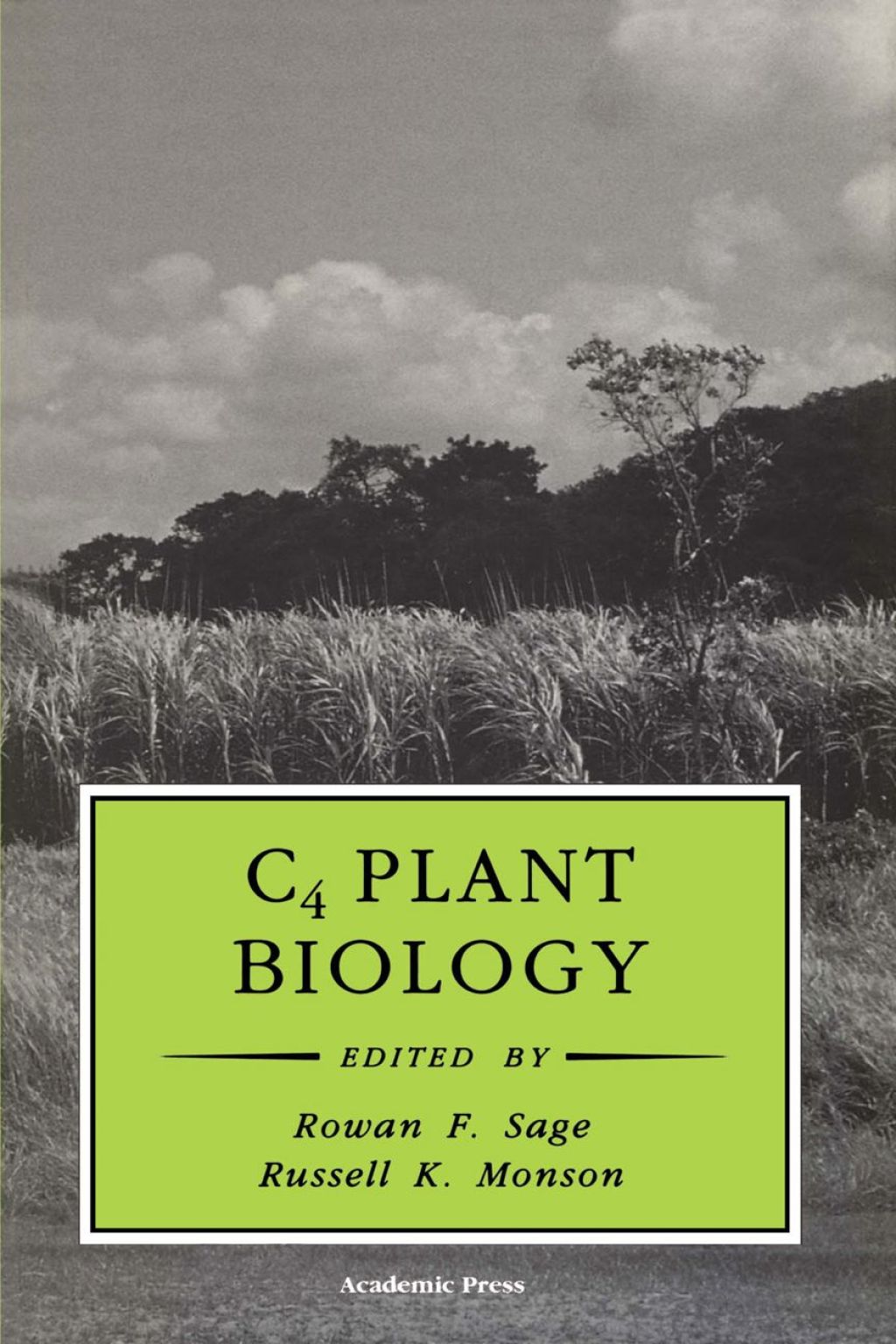 C4 Plant Biology 