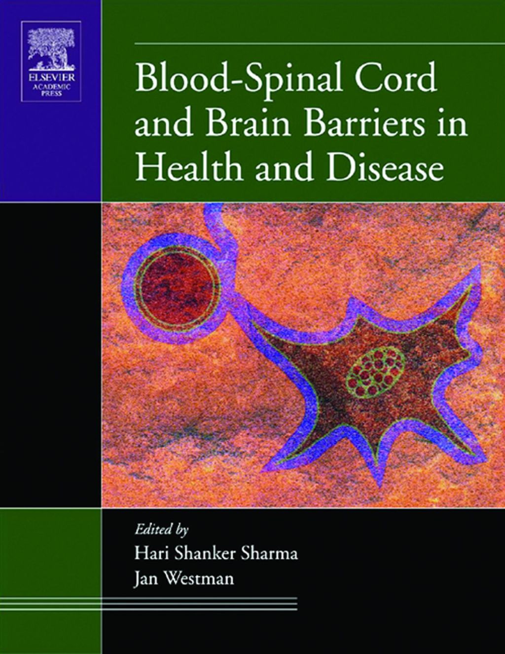 Blood-Spinal Cord and Brain Barriers in Health and Disease 