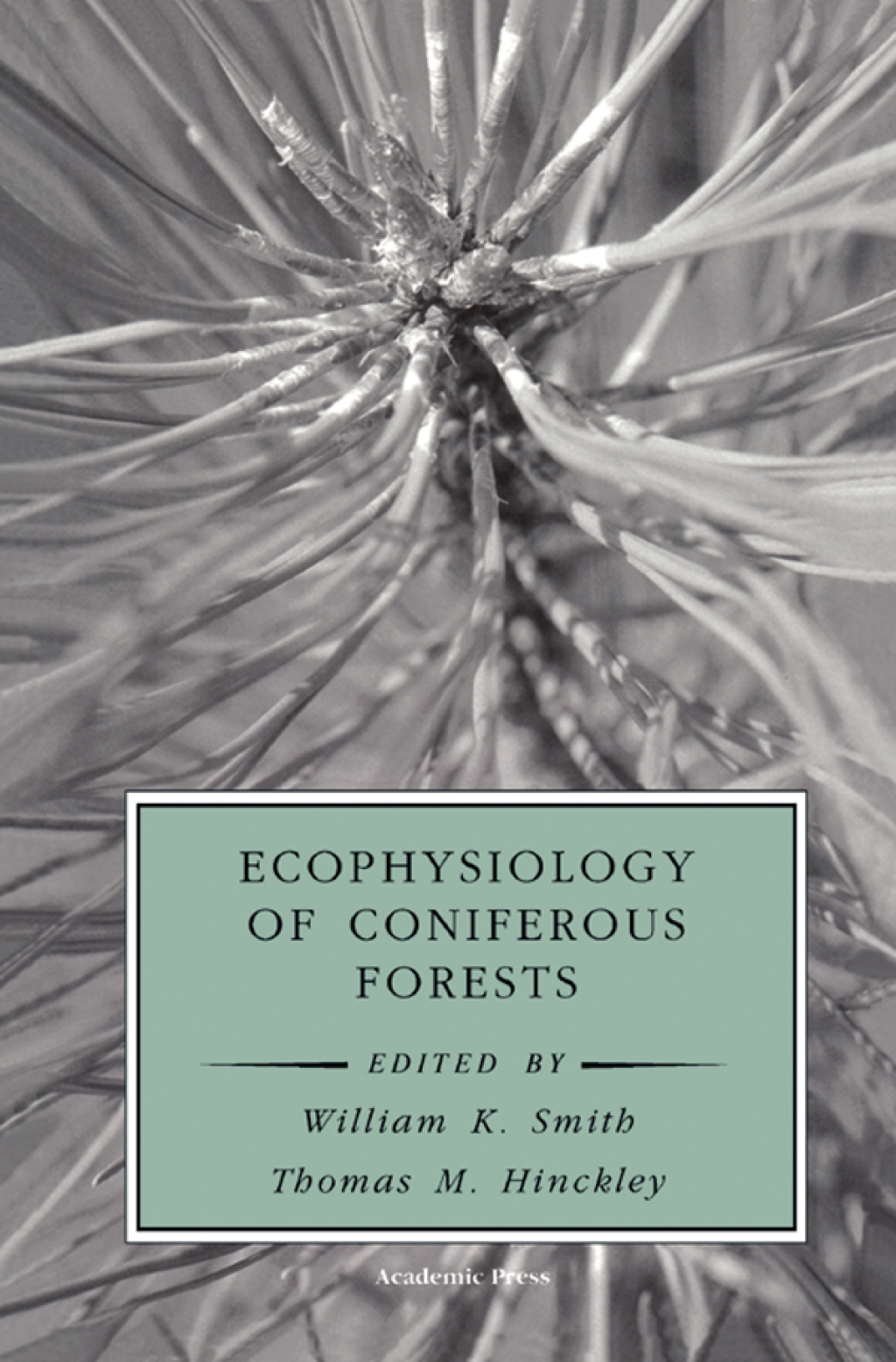 Ecophysiology of Coniferous Forests 