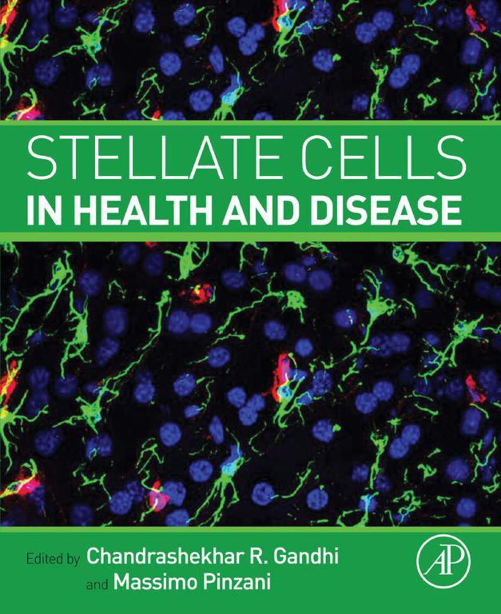 Stellate Cells in Health and Disease 