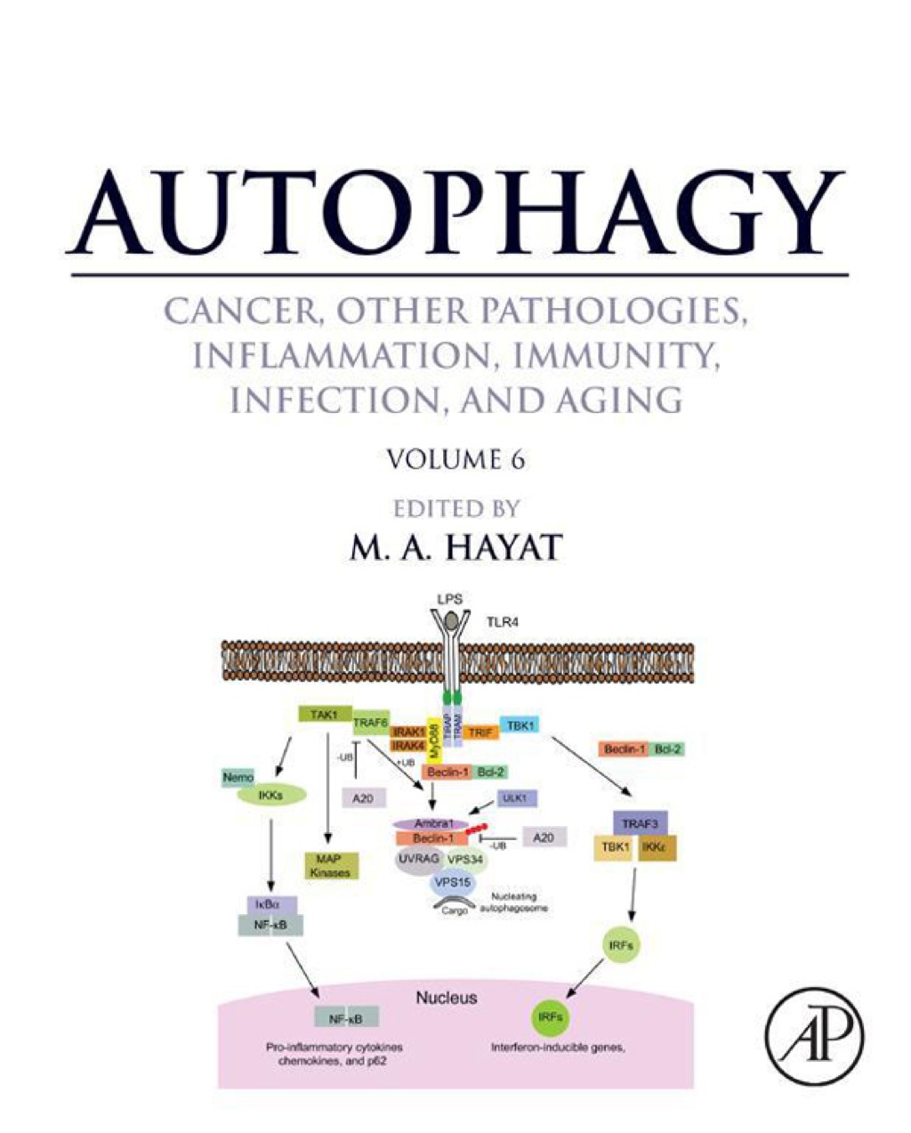 Autophagy: Cancer, Other Pathologies, Inflammation, Immunity, Infection, and Aging: Volume 6- Regulation of Autophagy and Selective Autophagy 