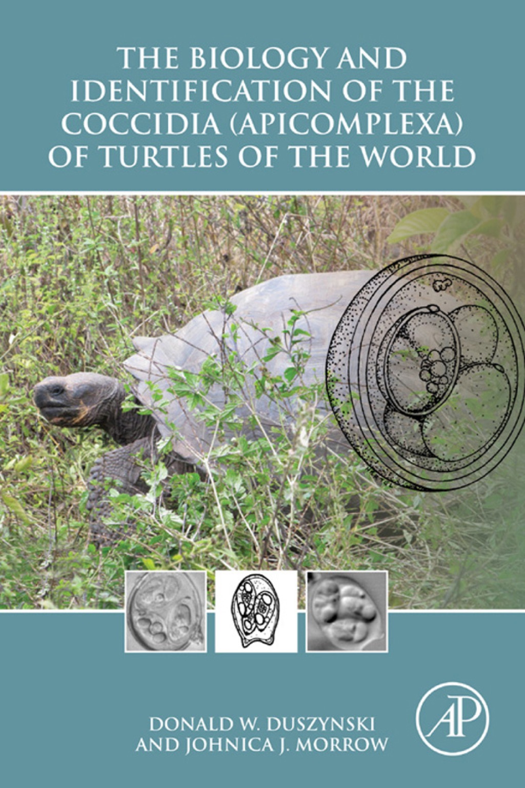 The Biology and Identification of the Coccidia (Apicomplexa) of Turtles of the World 