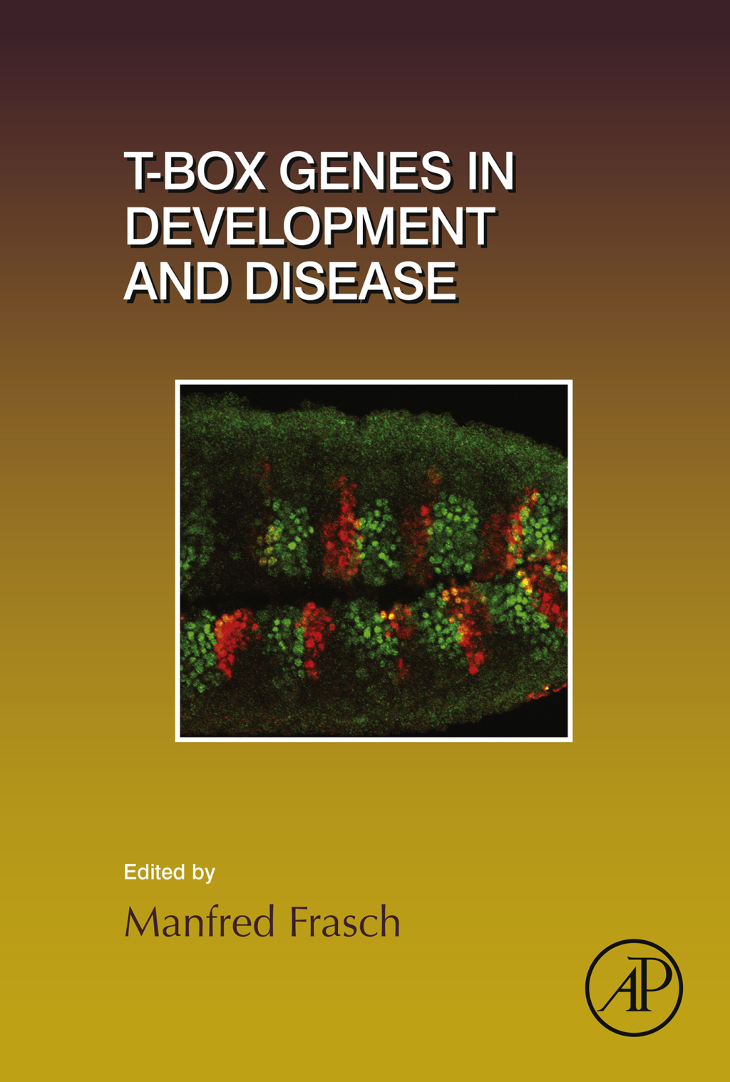 T-box Genes in Development and Disease 