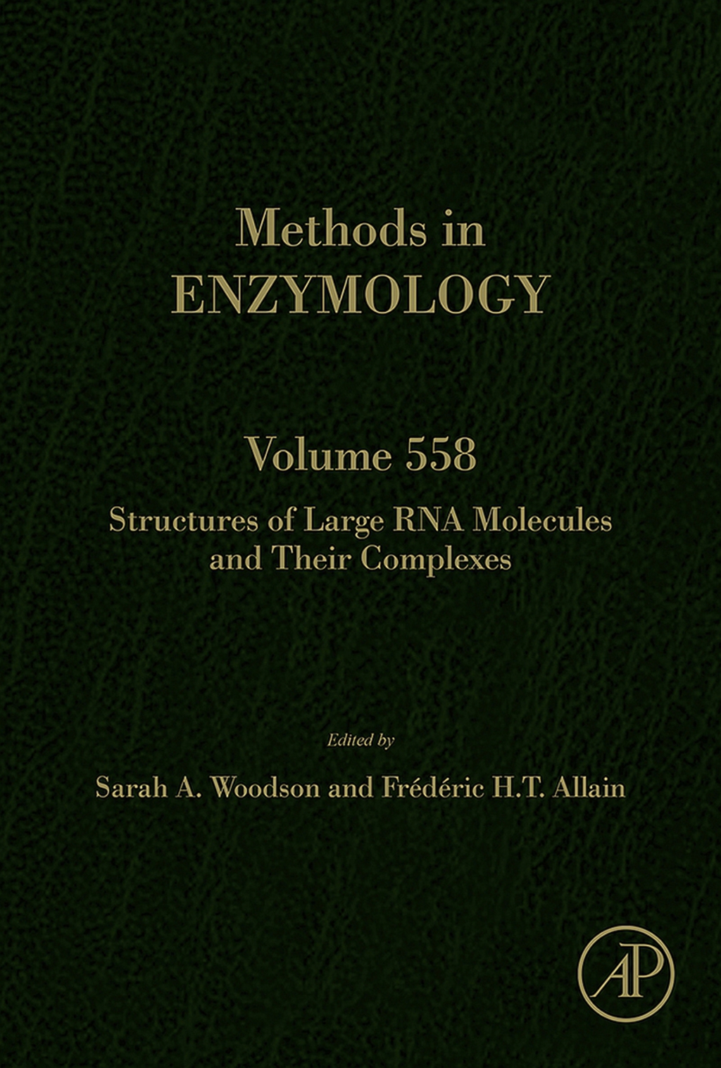 Structures of Large RNA Molecules and Their Complexes 