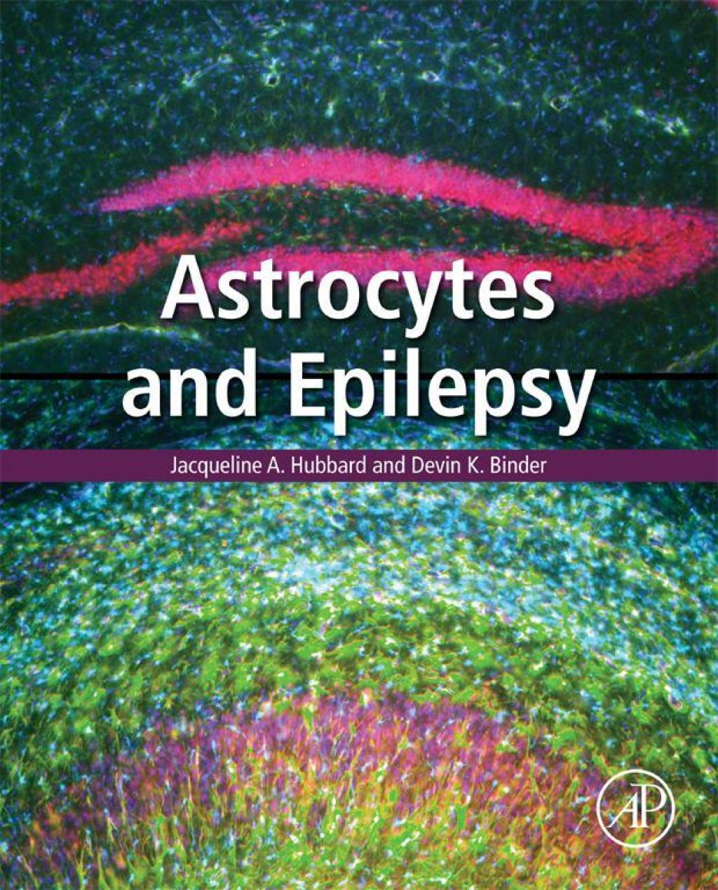Astrocytes and Epilepsy 