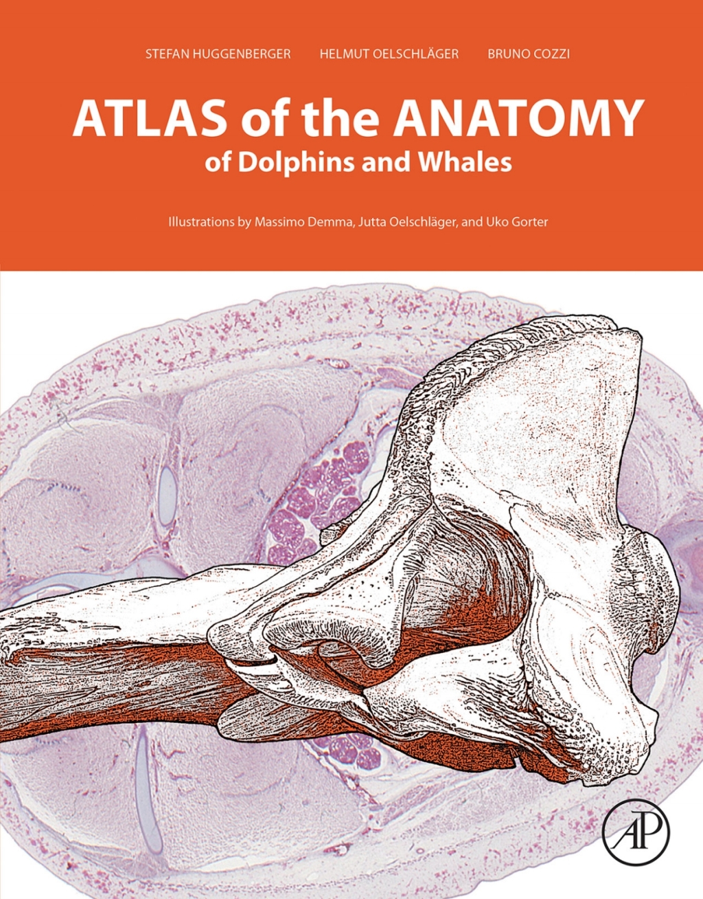 Atlas of the Anatomy of Dolphins and Whales 