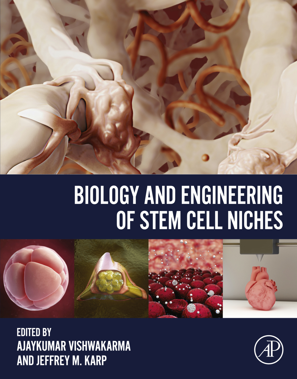 Biology and Engineering of Stem Cell Niches 