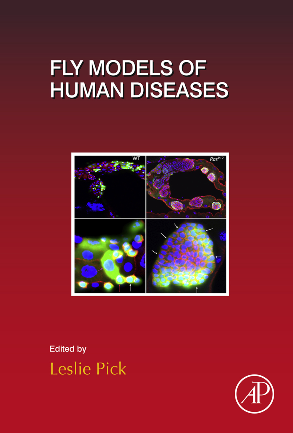 Fly Models of Human Diseases 