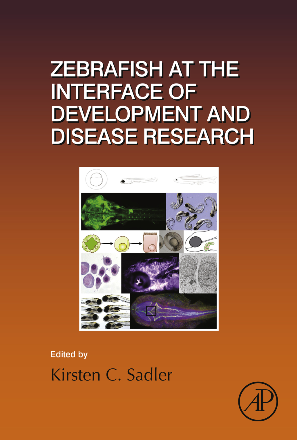 Zebrafish at the Interface of Development and Disease Research 
