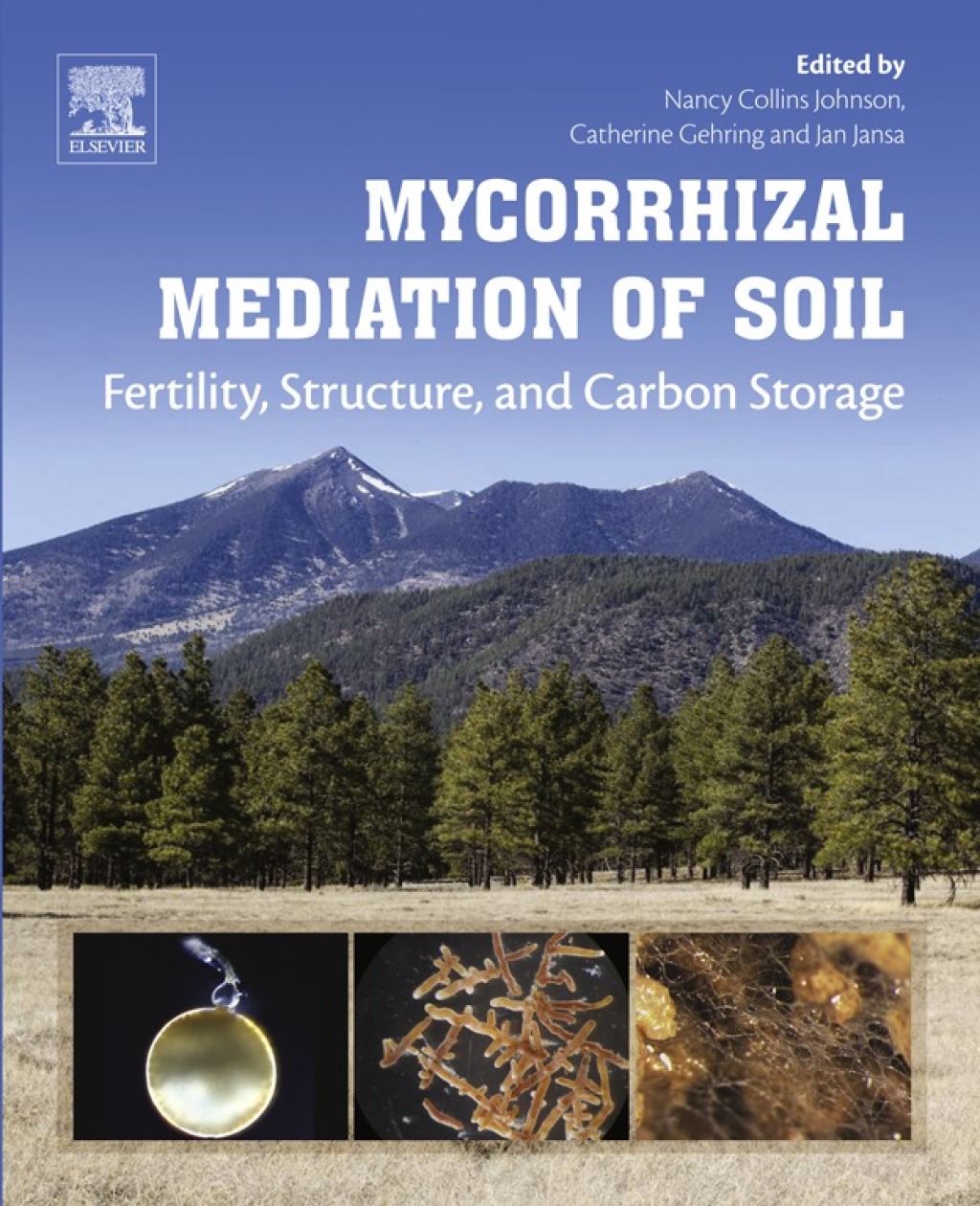Mycorrhizal Mediation of Soil Fertility, Structure, and Carbon Storage 