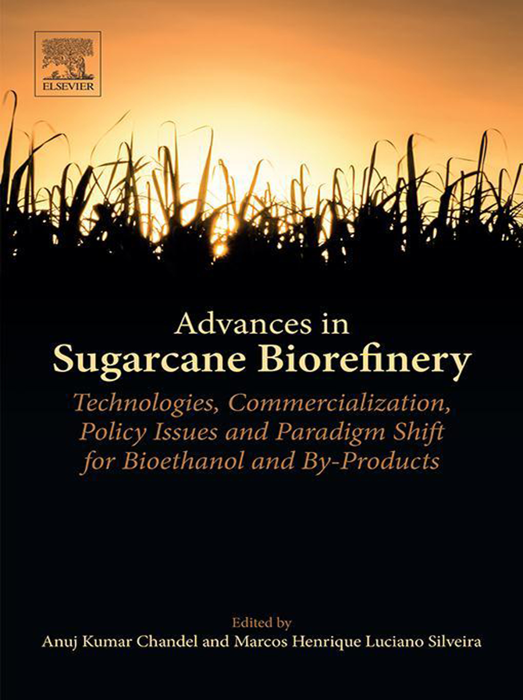 Advances in Sugarcane Biorefinery Technologies, Commercialization, Policy Issues and Paradigm Shift for Bioethanol and By-Products 