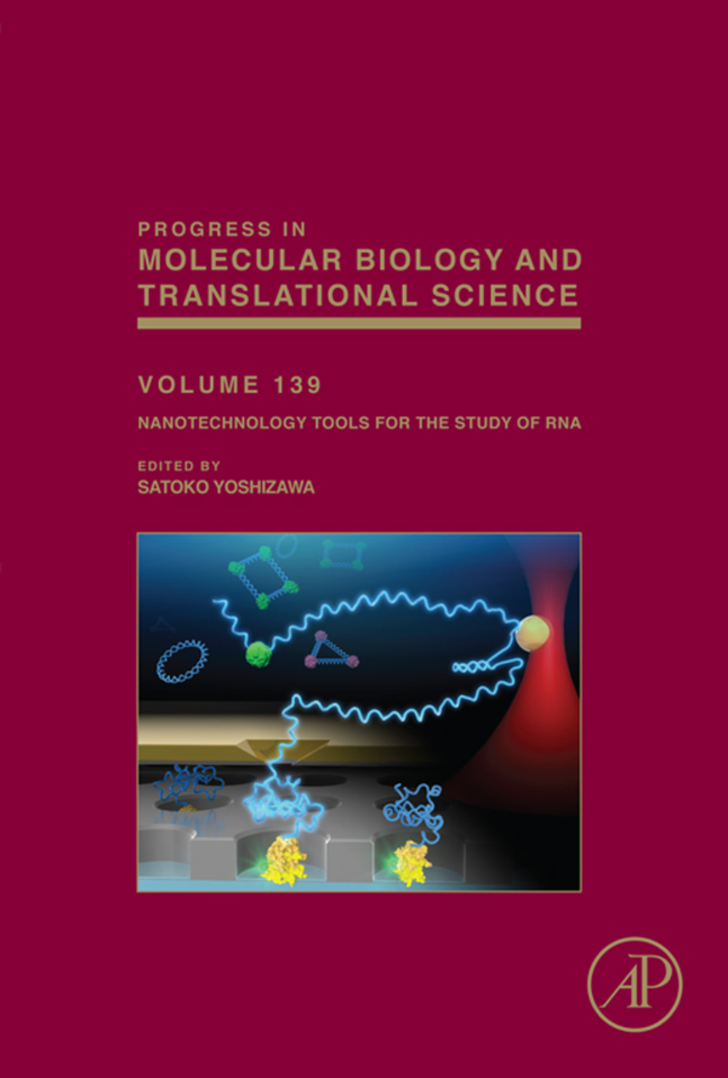 Nanotechnology Tools for the Study of RNA 
