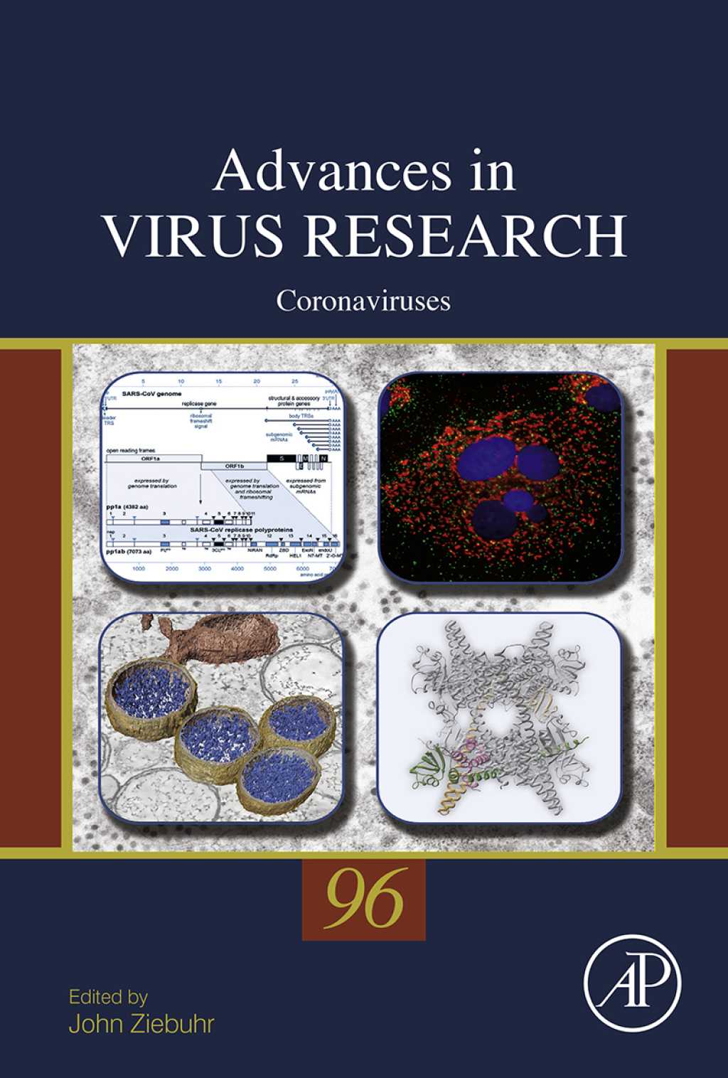 Coronaviruses 
